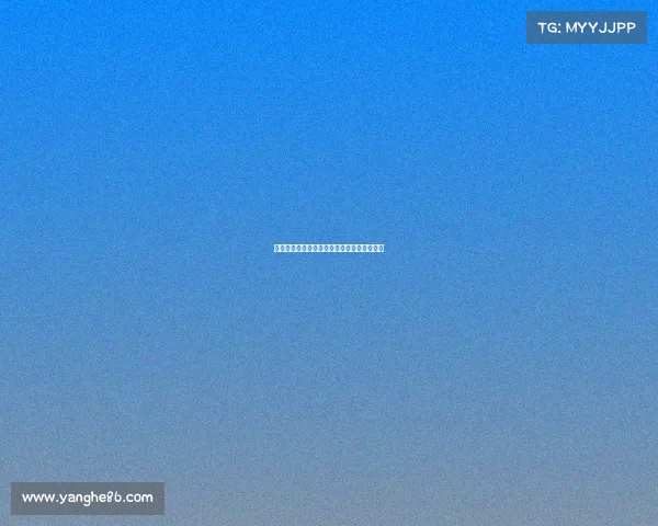 国际足联俱乐部世界杯莱比锡维尔纳反击进球