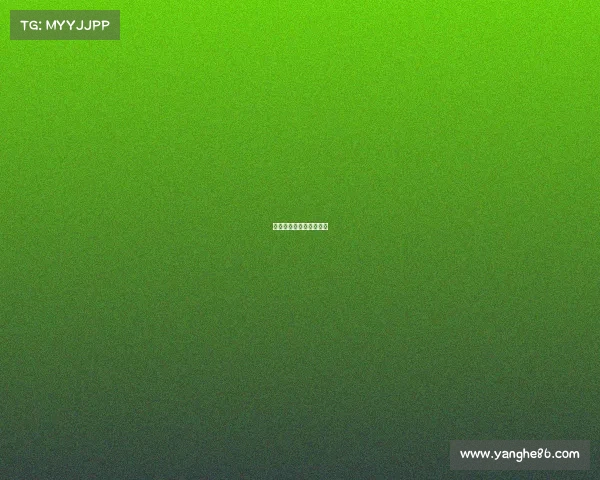 足球：最新国际赛事动态